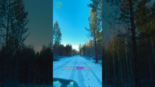 Увильды Резиденс - красота зимнего Уральского леса в районе озера Увильды. Построили дорогу!