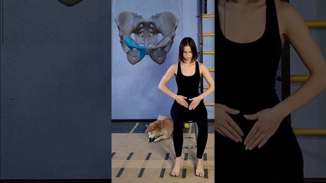 мини-лекция к курсу "здоровье тазового дна" смотреть онлайн