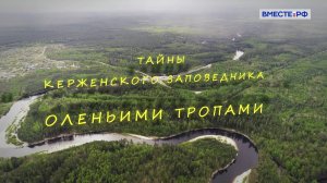Тайны Керженского заповедника. Оленьими тропами