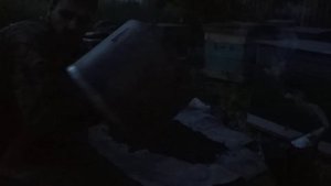 Заселяю пчелиный рой в улей.