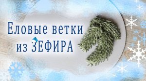 Еловые ветки из ЗЕФИРА