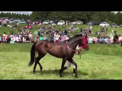 Сабантуй атлары 2018 смотреть онлайн