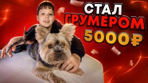 СТАЛ ГРУМЕРОМ за 5000₽