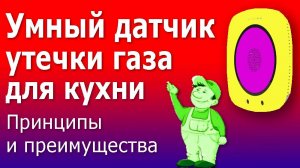 Умный датчик утечки газа. Устройство, принцип действия и подключение умного датчика газа для кухни.