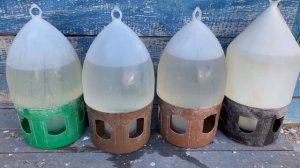 Забудете про Болезни своих Голубей! Простое средство! Смотри слушай до конца!