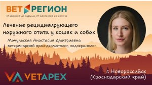 ВетРегион - г. Новороссийск (Краснодарский край) Анастасия Мачульская - Лечение рецидивирующего отит