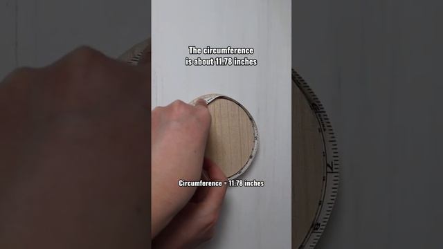 Does ANY circle's circumference divided by diameter ALWAYS equal pi?! #piday #314 #math #mathisfun