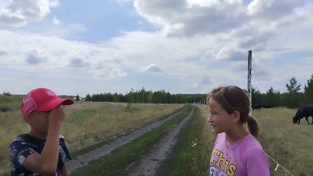 Про быков.