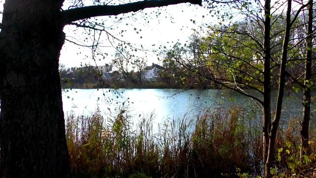 СТАРЫЙ ТОПОЛЬ ______________ 2024