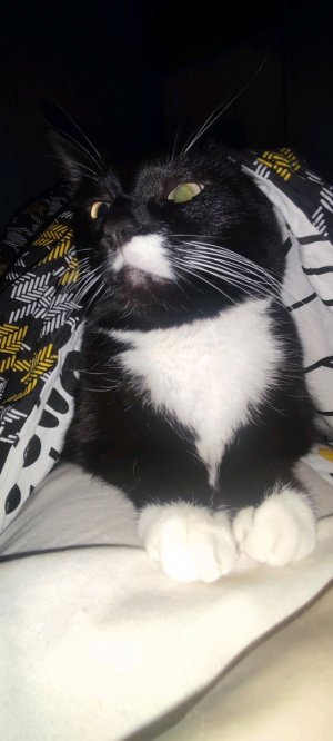 пятница, 13 кондиции