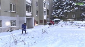 В Самаре тимуровские отряды "Движения первых" вышли на уборку снега