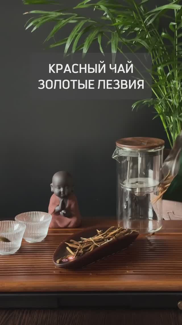 ДАОДЭ I Как заваривать китайский чай Золотые лезвия в чайнике Гунфу #чай #китайскийчай #tea #shorts