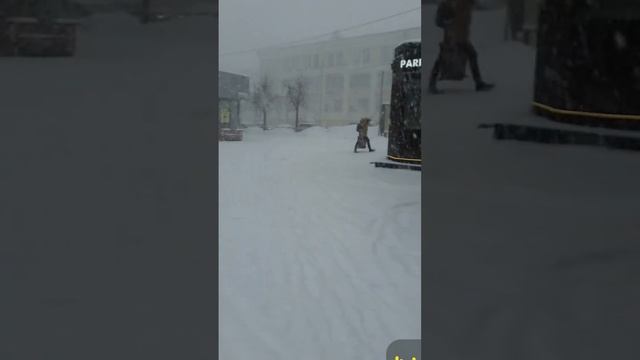 #Красиваязима #снег #2024