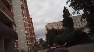 Призываем палочника 2 раз .(1часть)