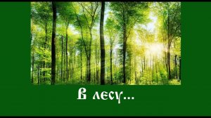 ЕН.В лесу: обход посадок, сделанных десяток лет назад