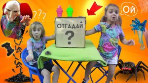 Лия Бум НАЩУПАЛА ЖУКИ - Челендж УГАДАЙ ЧТО внутри ящика Какие предметы в коробке?? Видео для детей