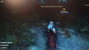 Ведьмак 3. Задание Шоковая терапия.