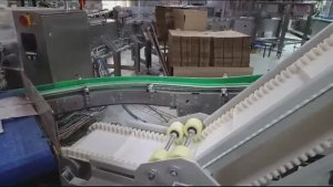 Ленточный Z-образный конвейер с гофробортами