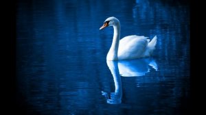 Reflection Pool - JR Tundra - ambient music