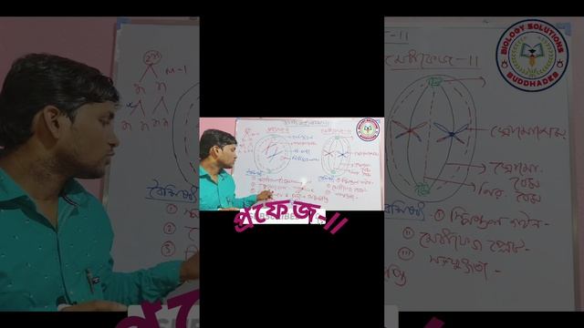 Prophase -ll&metaphase-ll in meiosis-ll!CELL DIVISION#BBS#biology#solutions#viral#trending#educatio