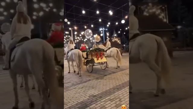 🎄🎄🎄В Бендерах по площади катают народ на праздничной карете в сопровождении двух белых лошадей.