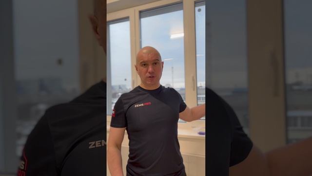 Zems Pro Стоимость Проекта