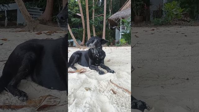 Пляж Хаад Кхом, ко Phangan
