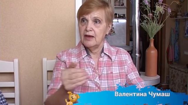 Программа для любителей животных "Хвостики" вып. 2 смотреть онлайн