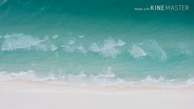 Сучья лозанья смотреть онлайн