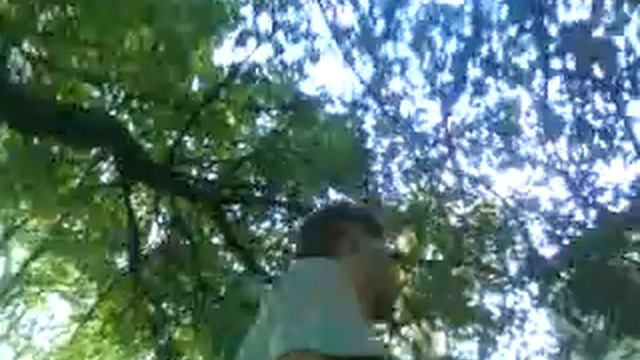 Парень под чем то из Желтых Вод смотреть онлайн