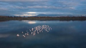 19132974-uhd_3840_2160_30fps