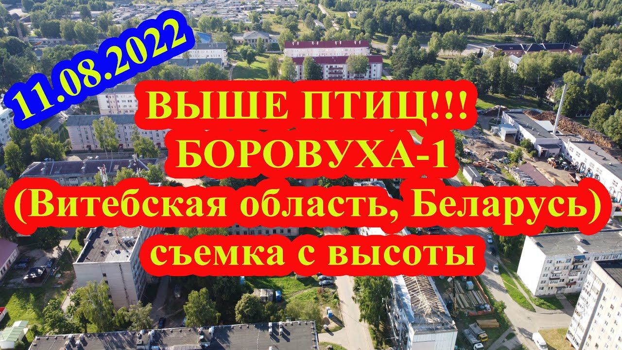 ВЫШЕ ПТИЦ!!! Боровуха-1 (Витебская область, Беларусь) съемка с высоты