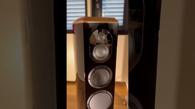 🔥$350 000 Dollars🔥 Sound System Riviera Marten Audiophile HiEnd Speaker Stereo Setup #hifi #hiend