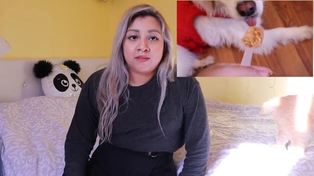 Simparica Flea/Tick Prevention for dogs смотреть онлайн