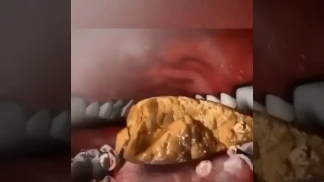 Процесс жевания и проглатывания