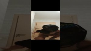 1000025598.mp4