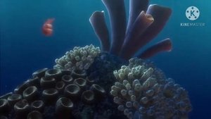 Finding Nemo - Dory Meets Marlin