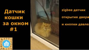 Датчик кошки за окном #1. Zigbee датчик открытия и кнопки давления в поликарбонате.
