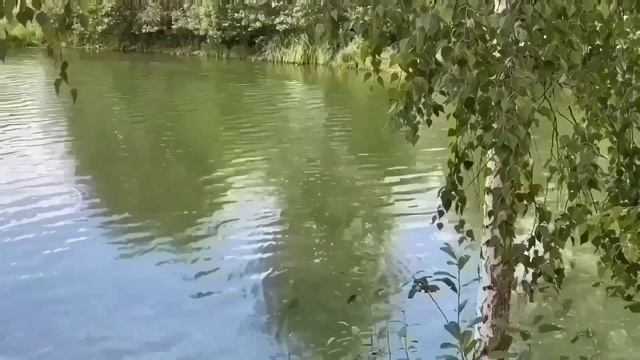 КУБАНСКАЯ ЛЕДИ КУПИЛА ТЕЛЕФОН! ОЛЮНЯ И КОТЮНЯ.
