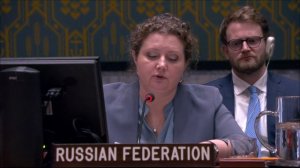 Statement by DPR Anna Evstigneeva at a UNSC Briefing on the Central African region