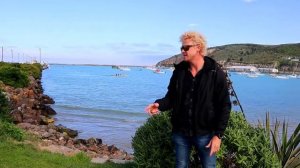 PENGUINS OAMARU NEW ZEALAND