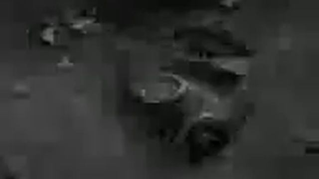 чернобль.2 часть.3gp