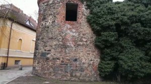 Жары Польша