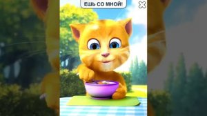 Веселый Котик Рыжик!  Говорящий РЫЖИК ест вместе с Вами