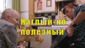 МОИ НОВЫЕ РАБОТЫ/ НАГЛЫЙ ТРУДЯГА/  11 декабря 2024