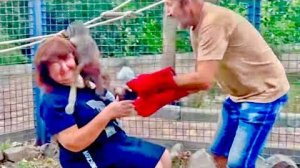 Успокоительные красные перчатки для Степы работали не долго, Степу ими не испугать)