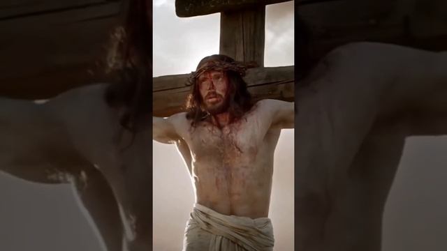 Война.Получи утешение и смысл жизни @LoveSaltanenko смотреть онлайн