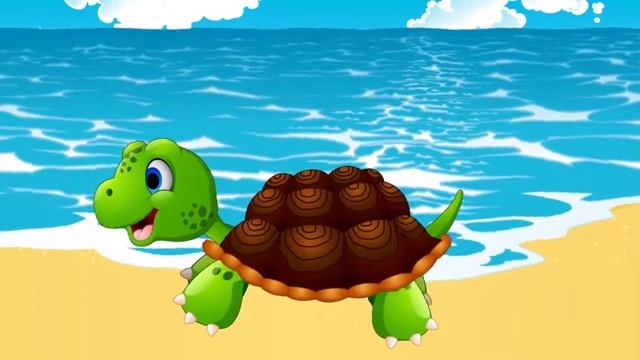 ЧЕРЕПАШКА Чок чок  Мульт песенка, видео для детей  Наше всё!