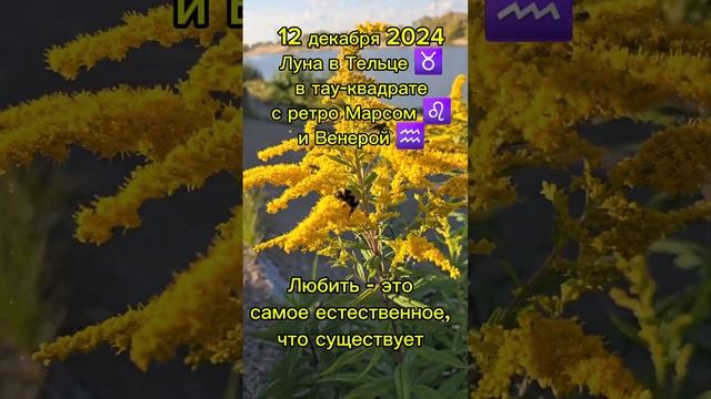 #12декабря2024 #гороскопдня