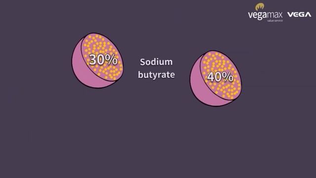 BUTYENERGY400 PLUS 40% coated sodium butyrate plus essential oils zhejiang vega biotechnology co lt